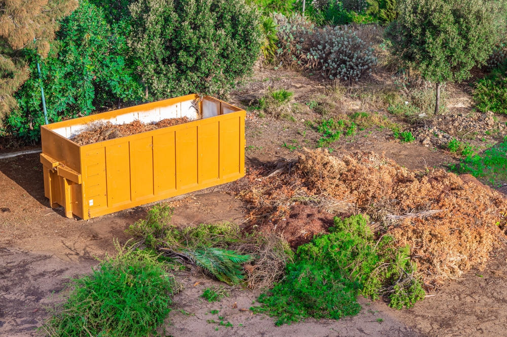 yellow roll-off dumpster next to trees on dirt
